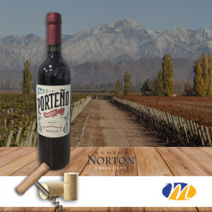 Norton Porteño Malbec