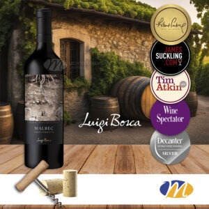 Terroir de los Miradores