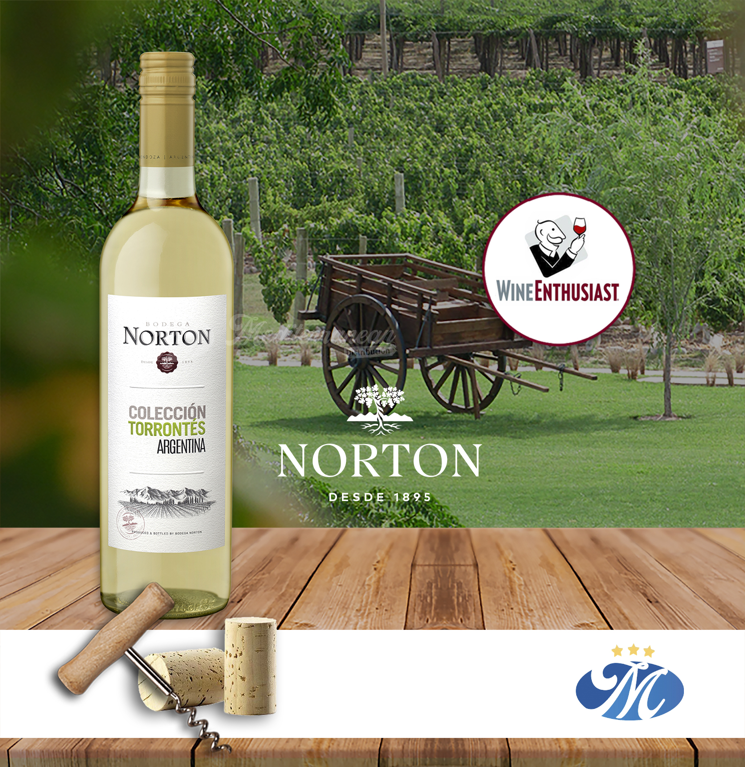 Norton Colección Torrontés