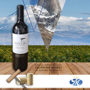 Ventus Tinto