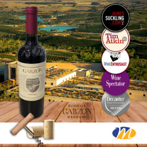 Garzón Single Vineyard Tannat