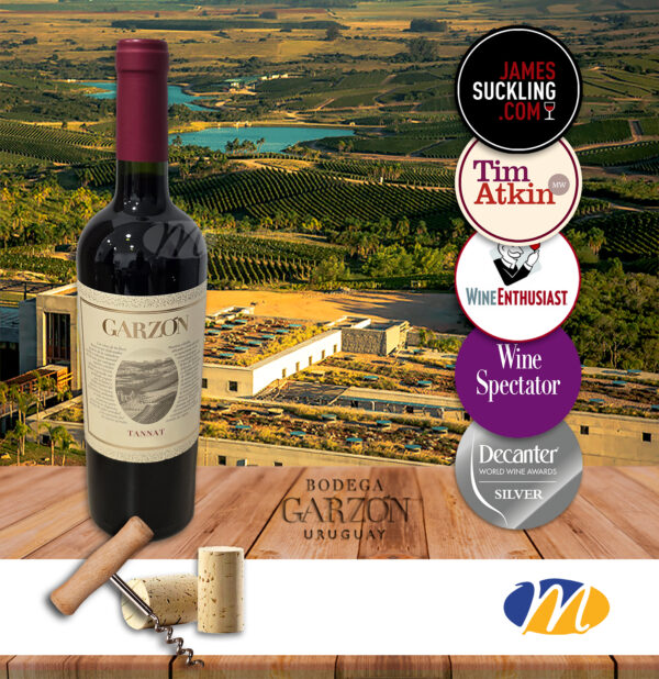 Garzon Single Vineyard Tannat