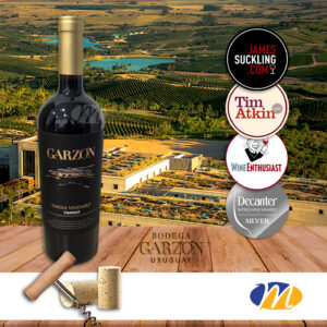Garzón Reserva Tannat
