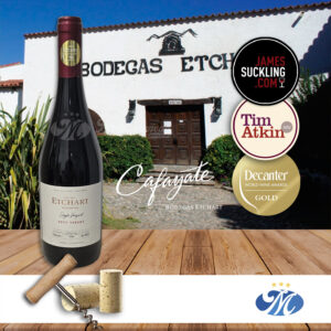 Etchart Single Vineyard Petit Verdot