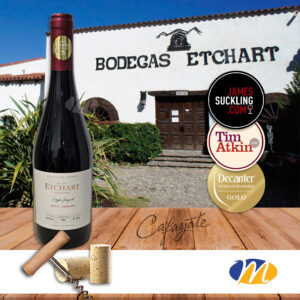 Etchart Single Vineyard Petit Verdot