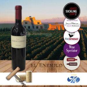 Angélica Zapata Malbec