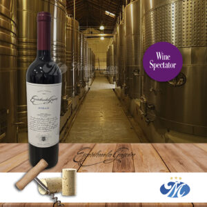 Escorihuela Gascón Syrah